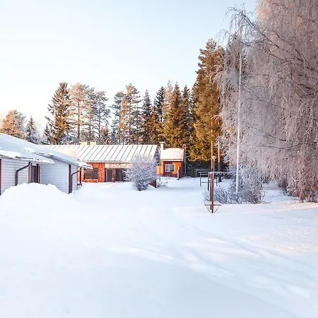 Metsatie Enonkoski