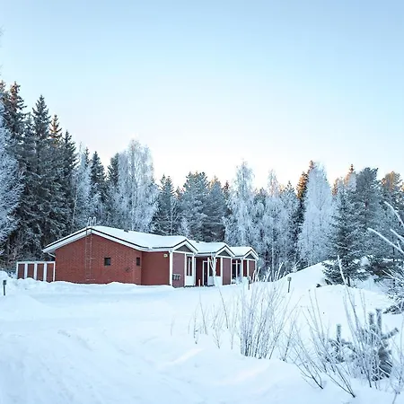 Metsatie Enonkoski